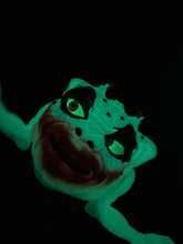 Load image into Gallery viewer, Dark Lord Crazy Clown